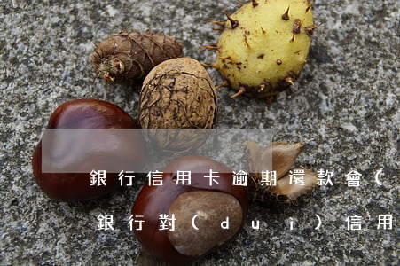 銀行信用卡逾期還款會(huì)怎么處理(銀行對(duì)信用卡逾期怎么處理)