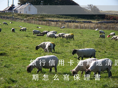 銀行信用卡逾期還清證明怎么寫(銀行還款逾期怎么寫保證書)