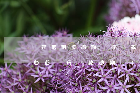 銀行信用卡逾期銀行說去經(jīng)偵自首(銀行貸款逾期經(jīng)偵會立案嗎)