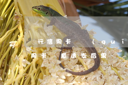 銀行信用卡違規(guī)變相透支(銀行信用卡惡意透支后果)