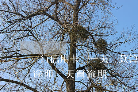 銀行信用卡遲一天還款算逾期嗎(銀行卡還錢逾期一天算逾期嗎)