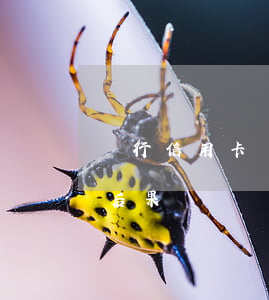 銀行信用卡還不上(銀行信用卡還不上有什么后果)