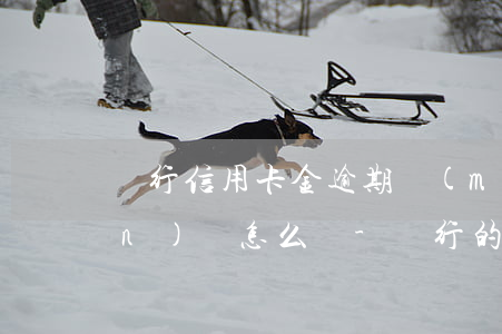 銀行信用卡金逾期沒(méi)錢(qián)還怎么辦-銀行的信用卡還不上滯納金如何收取