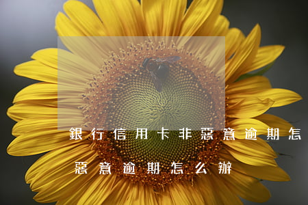 銀行信用卡非惡意逾期怎么辦(銀行信用卡非惡意逾期怎么辦)