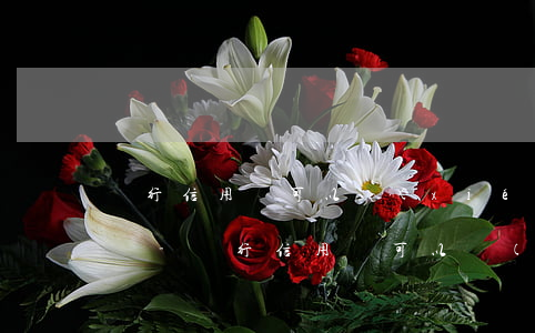 銀行信用貸可以協(xié)商個性化分期嗎-銀行信用貸可以協(xié)商個性化分期嗎