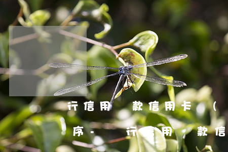 銀行信用貸款信用卡網(wǎng)貸還款順序-銀行信用貸款信用卡網(wǎng)貸還款順序是什么