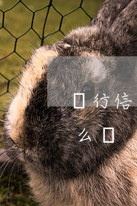 銀行信用貸逾期利息(銀行信用貸款逾期了怎么辦)