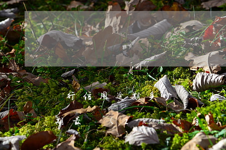 銀行信用逾期多少會(huì)被起訴-逾期最長(zhǎng)多久會(huì)被銀行起訴