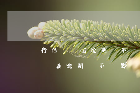 銀行信貸貸后逾期會不會影響子女-銀行信貸貸后逾期會不會影響子女政審