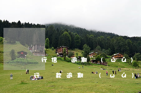 銀行信貸逾期無(wú)力償還怎么處理(銀行貸款逾期無(wú)力償還的后果)