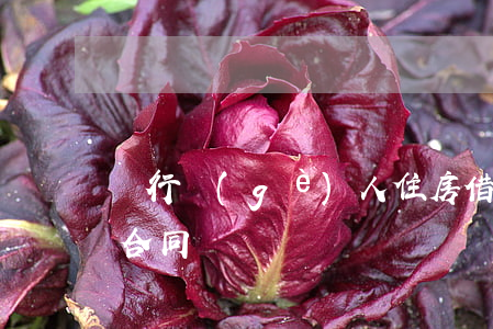 銀行個(gè)人住房借款質(zhì)押合同