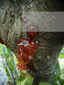 銀行個(gè)人逾期貸款催收管理操作規(guī)程-銀行個(gè)人逾期貸款催收管理操作規(guī)程最新
