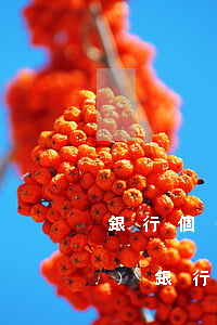 銀行個(gè)性化分期不批準(zhǔn) 銀行不給做個(gè)性化分期怎么投訴