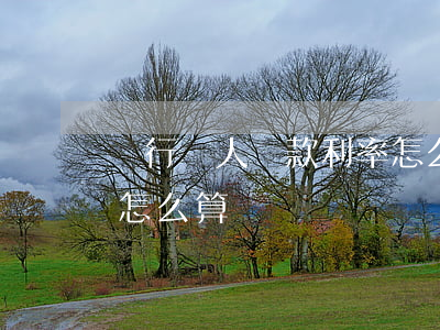 銀行個人貸款利率怎么算（銀行個人貸款利率怎么算）