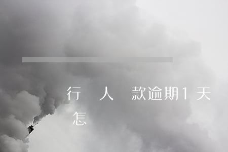 銀行個人貸款逾期1天(銀行貸款逾期一個月會怎樣)