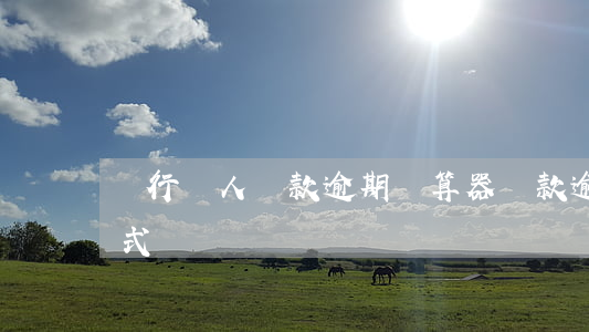 銀行個人貸款逾期計算器(貸款逾期率計算公式)