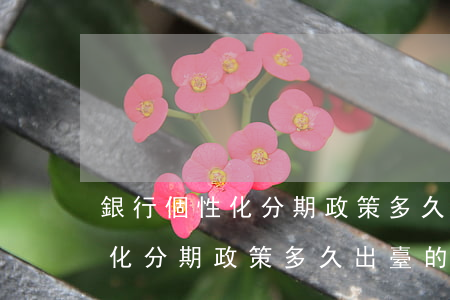 銀行個性化分期政策多久出臺的?-銀行個性化分期政策多久出臺的呢