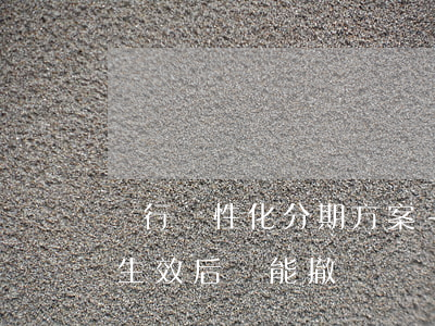銀行個性化分期方案-銀行個性化分期方案生效后還能撤銷嗎