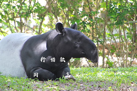 銀行借款合同糾紛利息如何處理(金融借款合同糾紛怎么處理)