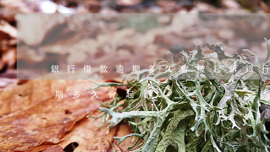 銀行借款逾期多久會被起訴(銀行貸款一般逾期多久會起訴)