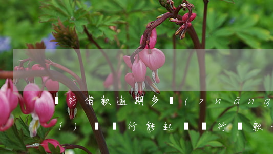 銀行借款逾期多長(zhǎng)時(shí)間銀行能起訴(銀行貸款一般逾期多長(zhǎng)時(shí)間會(huì)起訴)