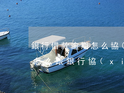銀行借款逾期怎么協(xié)商(貸款逾期怎么跟銀行協(xié)商)