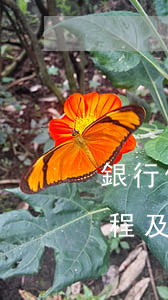銀行借款逾期起訴流程(銀行貸款逾期起訴流程及時間)