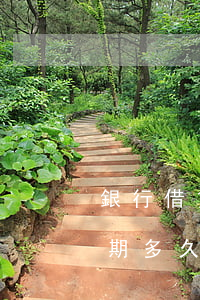 銀行借貸卡逾期多久會起訴(貸款跟信用卡逾期多久,銀行會起訴)