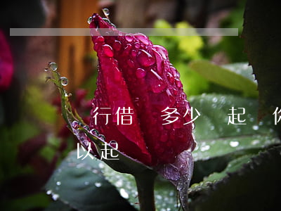 銀行借錢多少會起訴你(銀行借多少錢不還可以起訴)