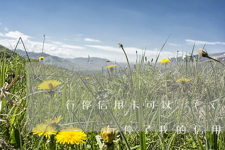 銀行停信用卡可以協(xié)商分36期嗎-銀行停了我的信用卡,還能再申請(qǐng)嗎