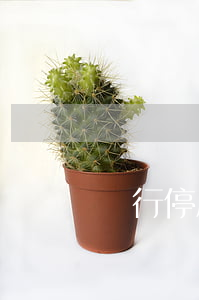 銀行停息掛賬取消了怎么辦(銀行停息掛賬)