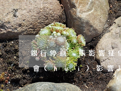 銀行停息掛賬影響征信么(一家銀行停息掛賬會(huì)影響其他銀行嗎?)