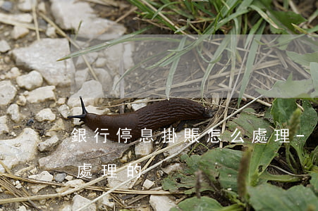 銀行停息掛賬怎么處理-銀行停息掛賬怎么處理的