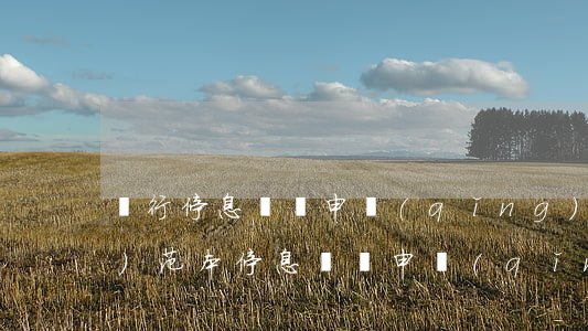 銀行停息掛賬申請(qǐng)書(shū)范本(停息掛賬申請(qǐng)書(shū)模板)