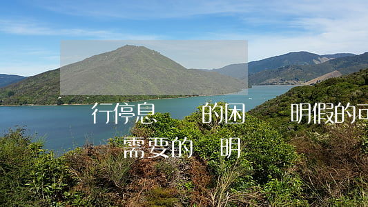 銀行停息掛賬的困難證明假的可以嗎-停息掛賬需要的證明