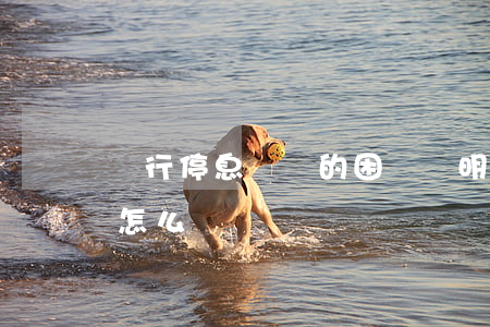 銀行停息掛賬的困難證明(銀行拒絕停息掛賬怎么辦)