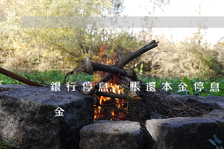銀行停息掛賬還本金(停息掛賬是不是只還本金)