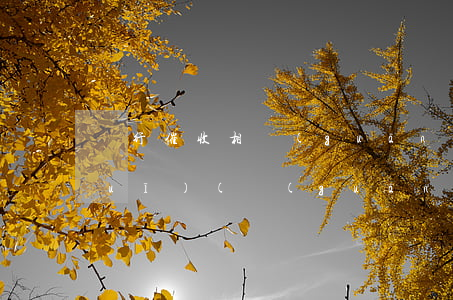 銀行催收相關(guān)的法律法規(guī)(關(guān)于催收的法律定義)