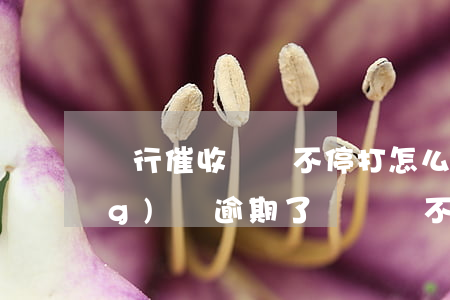 銀行催收電話不停打怎么解決-網(wǎng)貸逾期了暫時還不上怎么辦
