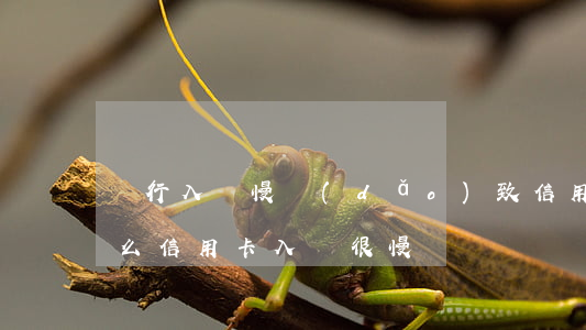 銀行入賬慢導(dǎo)致信用卡逾期(為什么信用卡入賬很慢)
