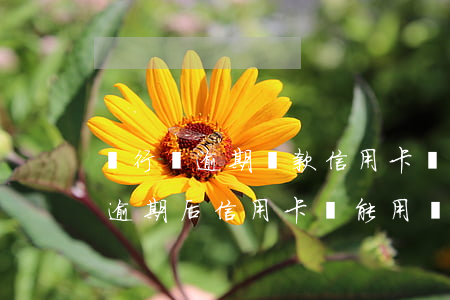 銀行冇逾期貸款信用卡還能用嗎-銀行貸款逾期后信用卡還能用嗎