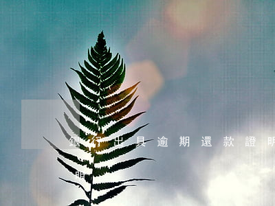 銀行出具逾期還款證明(銀行出具逾期情況說明)