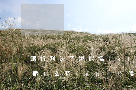 銀行判決了還能協(xié)商嗎(被銀行起訴什么時(shí)候可以協(xié)商)