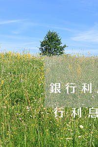 銀行利息罰息減免政策報(bào)告-銀行利息罰息減免政策報(bào)告怎么寫