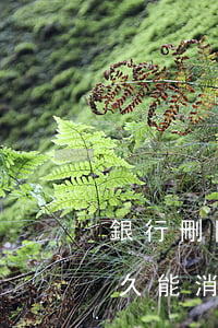 銀行刪除逾期記錄要多久-銀行逾期記錄多久能消