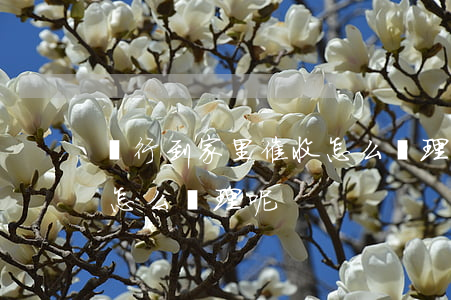 銀行到家里催收怎么處理-銀行到家里催收怎么處理呢