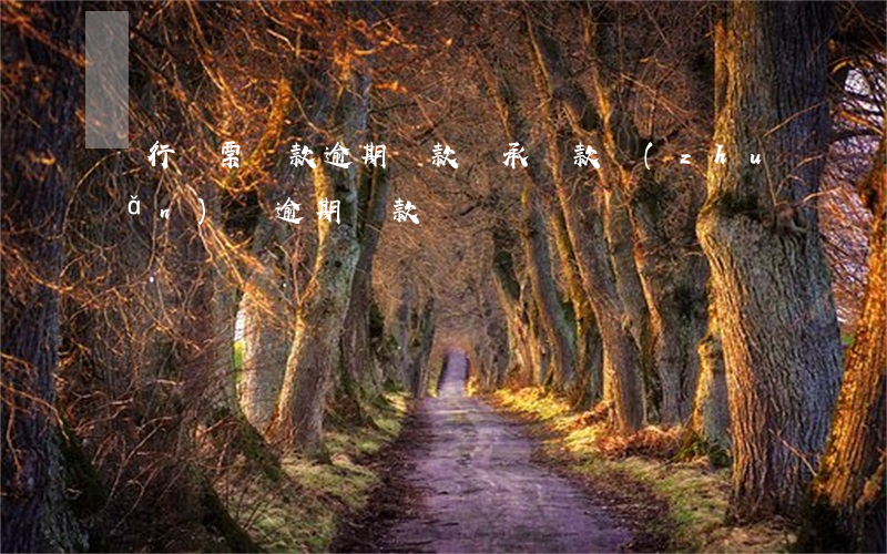 銀行匯票墊款逾期貸款(銀承墊款轉(zhuǎn)為逾期貸款)