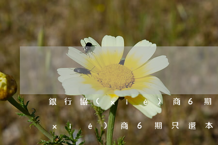 銀行協(xié)商6期只還本金(銀行協(xié)商6期只還本金)
