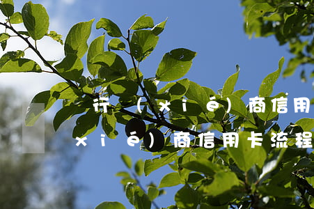 銀行協(xié)商信用卡流程圖(銀行協(xié)商信用卡流程圖)