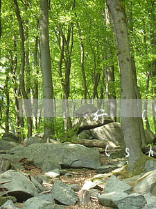 銀行協(xié)商還款個(gè)人情況說(shuō)明不真實(shí)-銀行協(xié)商還款個(gè)人情況說(shuō)明不真實(shí)怎么寫(xiě)